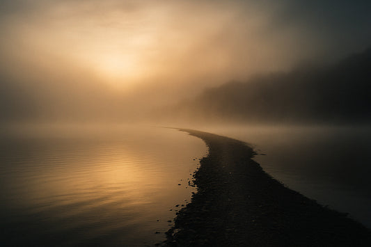 Ein schmaler, dunkler Uferstreifen führt in sanfter Kurve in einen nebligen See, während die tiefstehende Sonne den Nebel in warmes Gold taucht. Zarte Wasserwellen spiegeln das Licht,