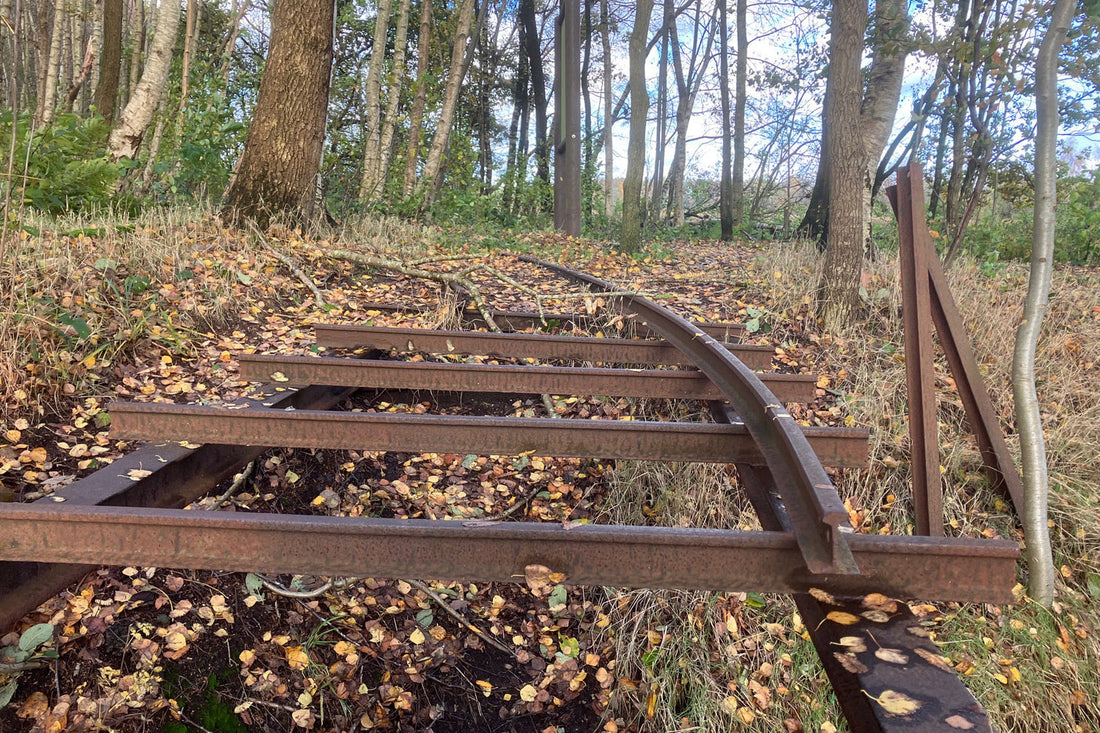 Alte, verrostete Gleise im Wald, bedeckt mit Herbstlaub und umgeben von warmem Licht. Ruhige, zeitvolle Szene eines stillen Wege