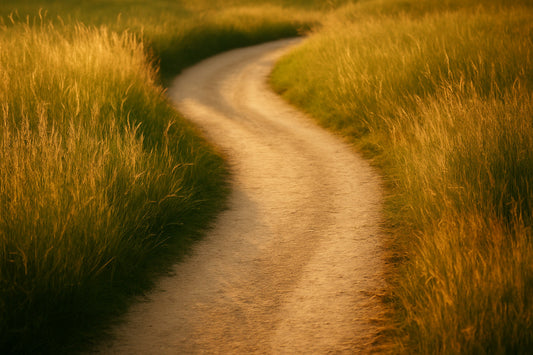 Ein weicher, sandfarbener Weg windet sich durch hohes, warmes Sommergras. Goldenes Licht fällt flach über die Gräser und erzeugt eine sanfte, ruhige Bewegung, die an ein stilles Vorübergehen erinnert.
